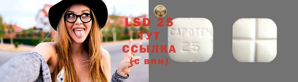 спайс Богданович