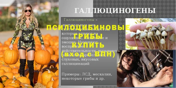 спайс Богданович