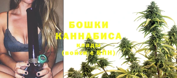 спайс Богданович