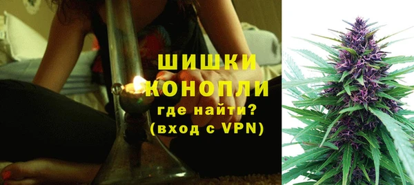спайс Богданович
