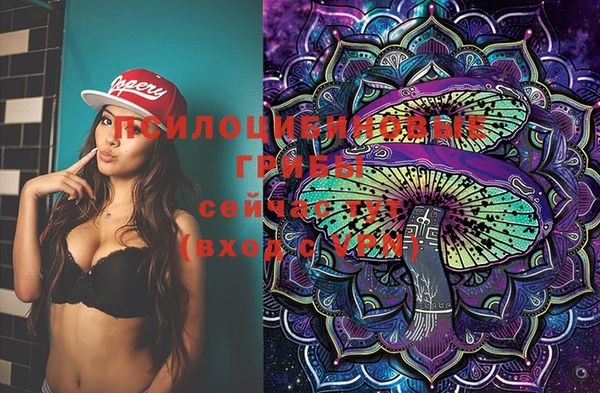 спайс Богданович