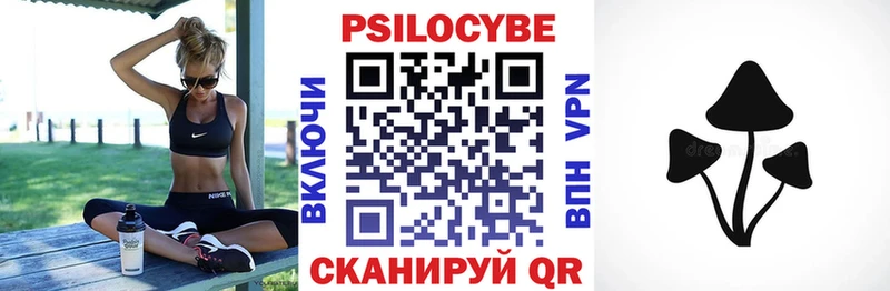 Купить закладки  Дзержинск  Галлюциногенные грибы GOLDEN TEACHER 